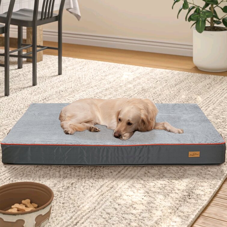 Bingo Paw Orthopedic Mat/Pad in Grey | Wayfair.co.uk